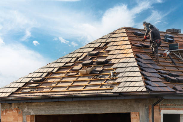 Best Skylight Installation and Repair  in Worthington Hills, KY